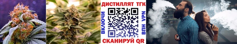 где найти наркотики Шелехов Дистиллят ТГК концентрат