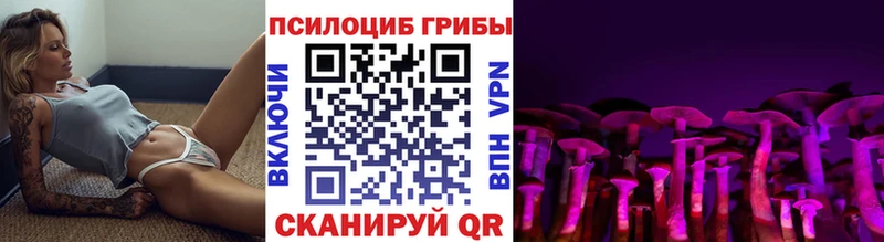 Галлюциногенные грибы GOLDEN TEACHER закладка Шелехов